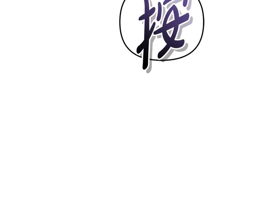第42话 真正的生辰礼219