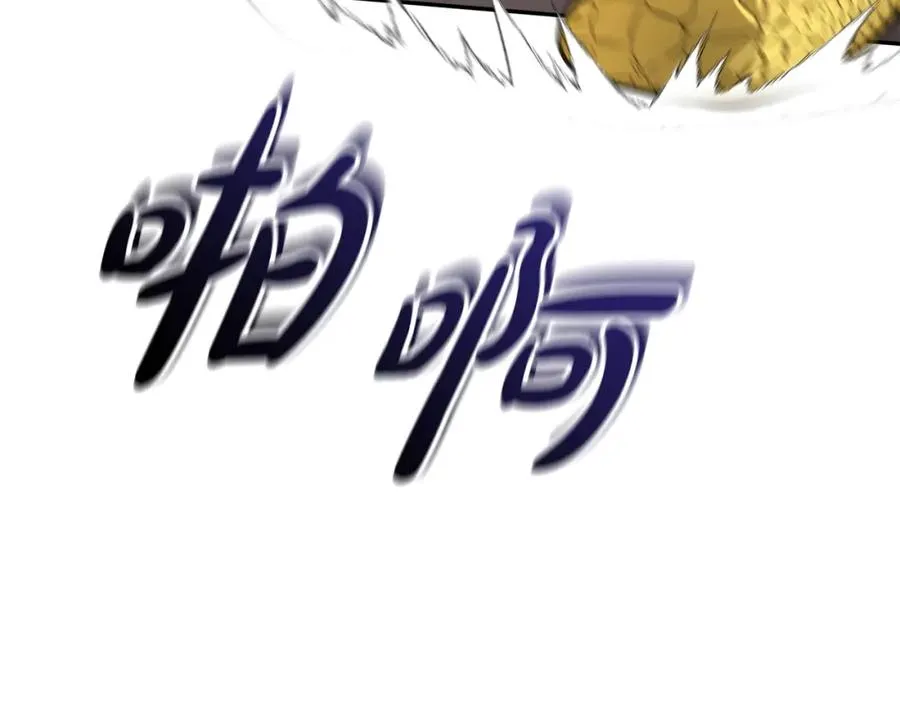 第42话 真正的生辰礼25