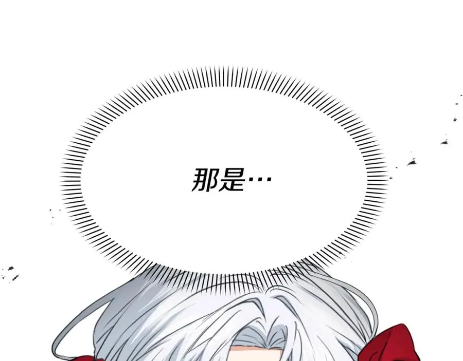 第42话 真正的生辰礼9