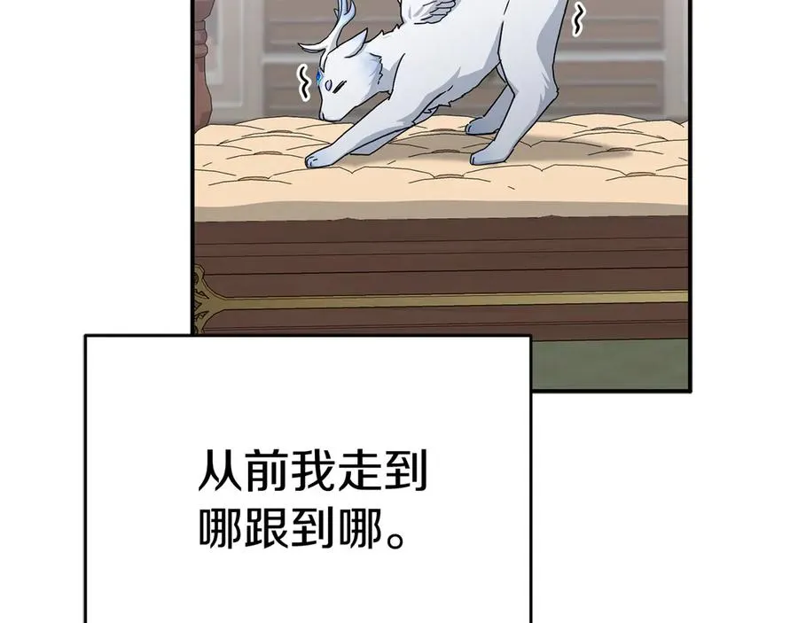 第65话 舞伴的人选206