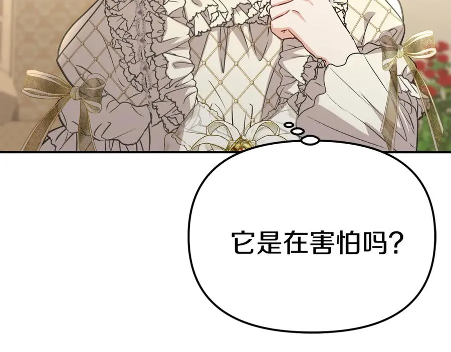 第41话 最好的礼物270