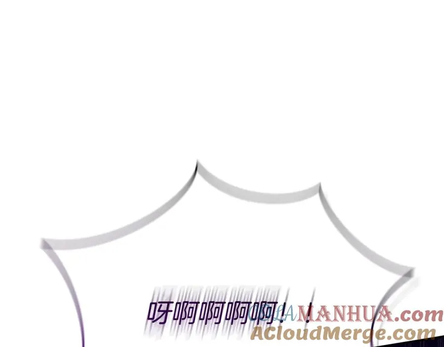 第42话 真正的生辰礼16