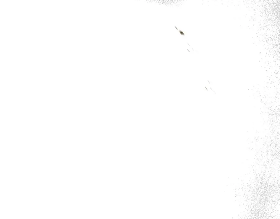 第57话 舞伴的选择110