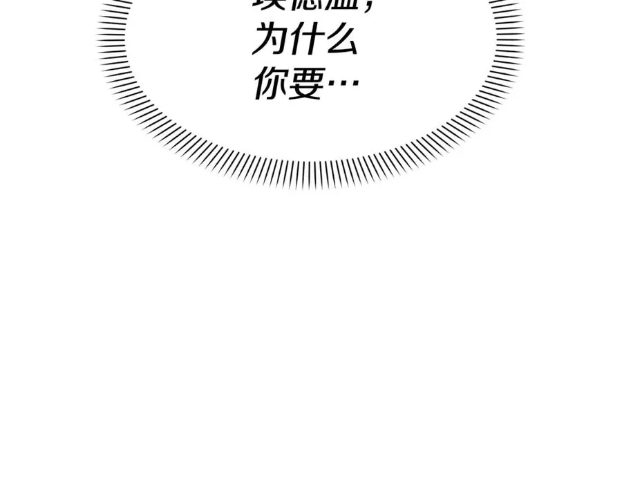 第42话 真正的生辰礼171