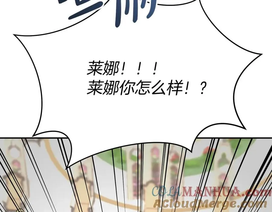 第42话 真正的生辰礼28