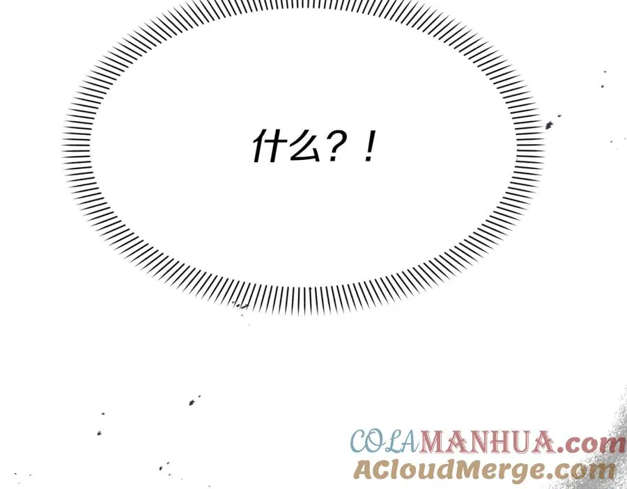 第42话 真正的生辰礼12