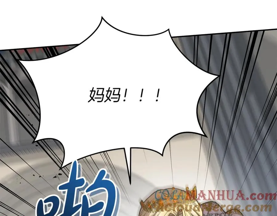 第42话 真正的生辰礼248