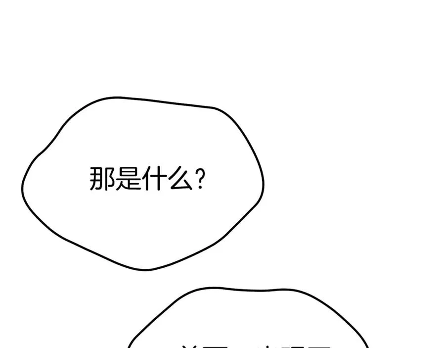 第42话 真正的生辰礼239