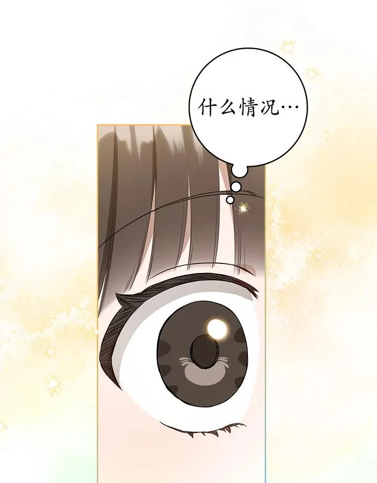 51.笨拙地道歉65