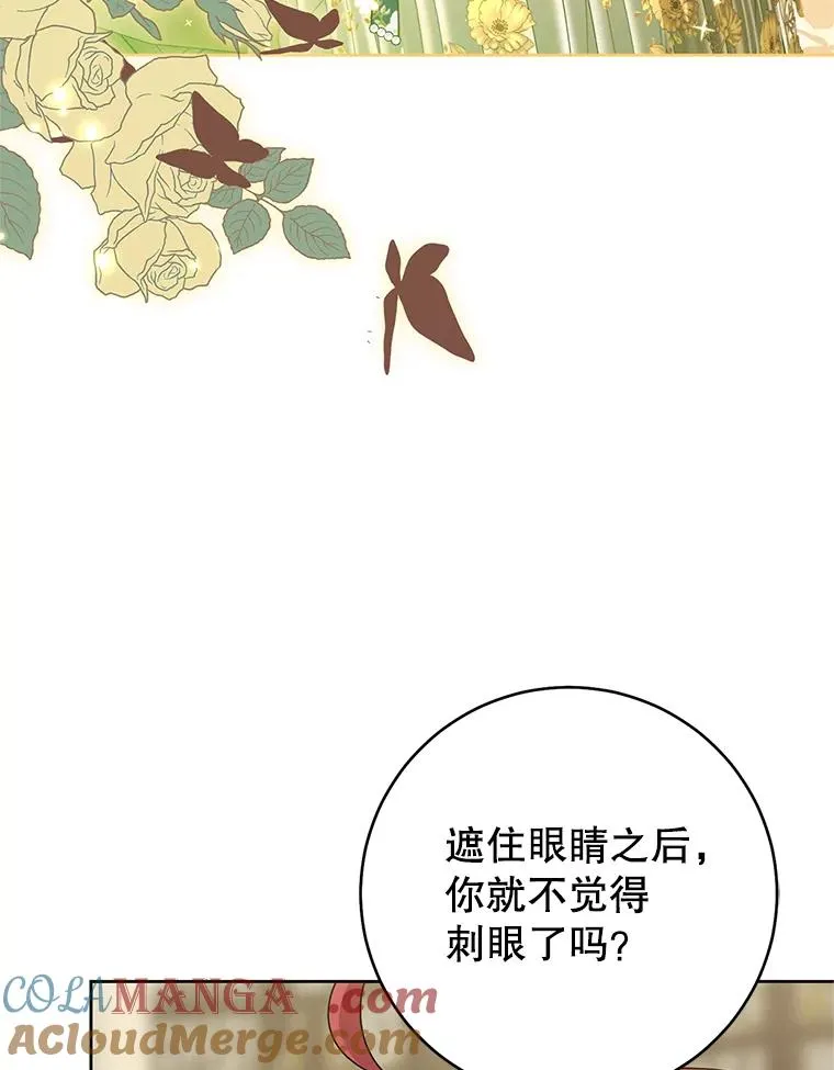 49.金色眼眸24