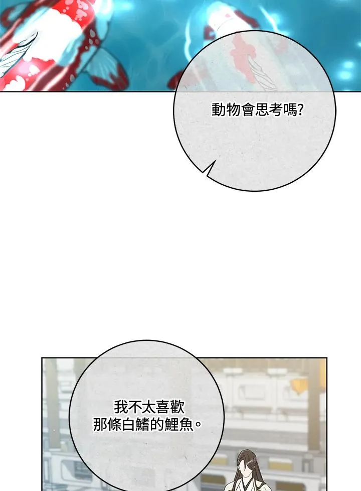 第41话5