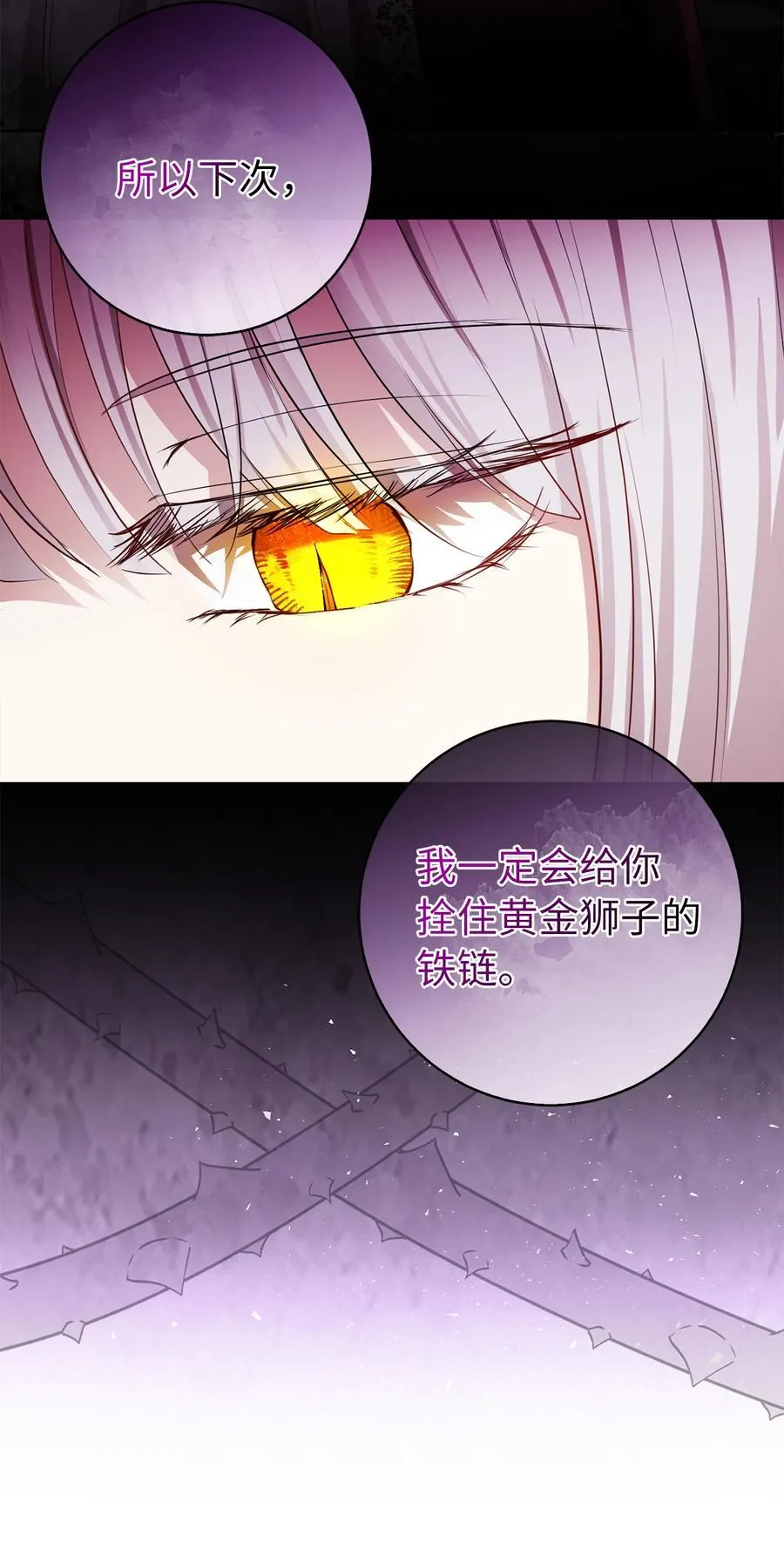 41 大王子的愿望20