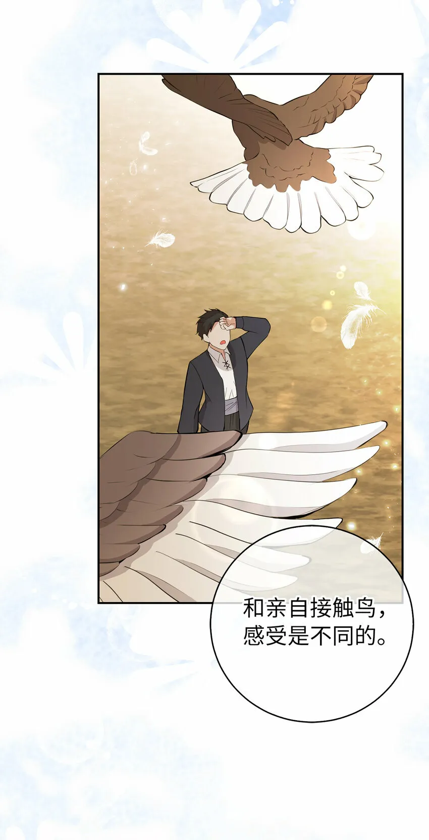 27 完美的方案11