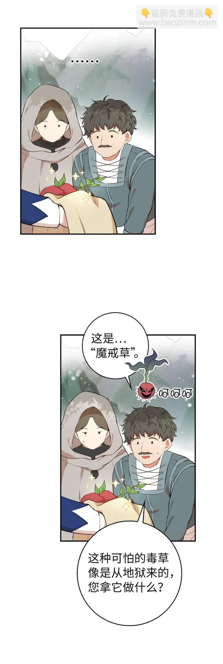 8 奇迹植物40