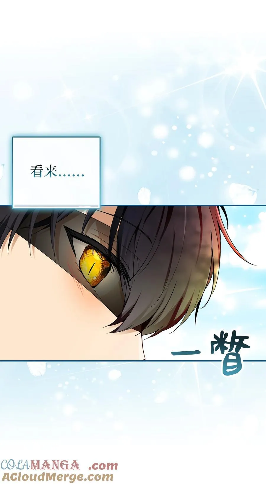 80 告别36