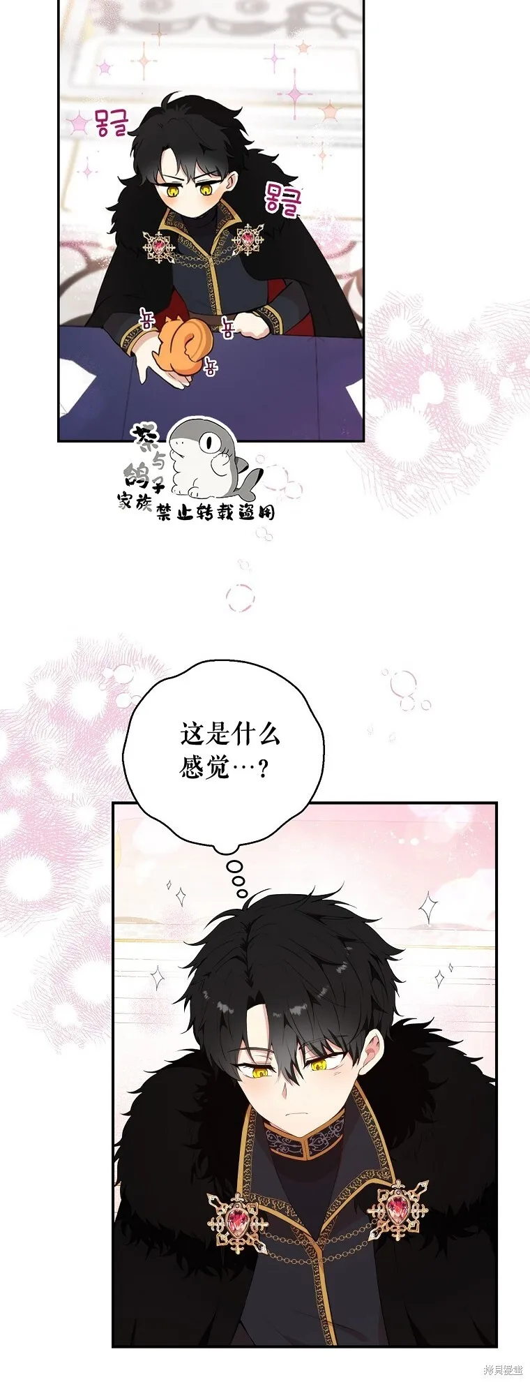 8 奇迹植物66