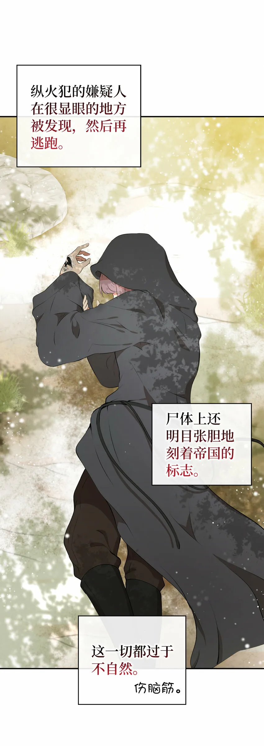8 奇迹植物21