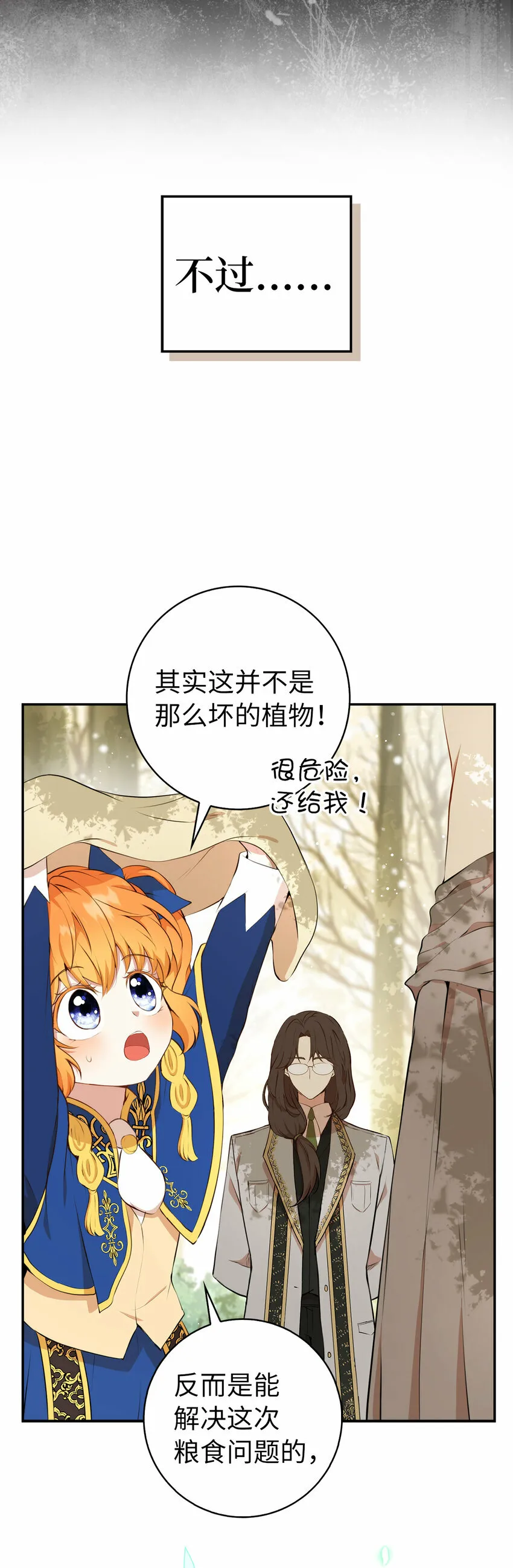 8 奇迹植物43