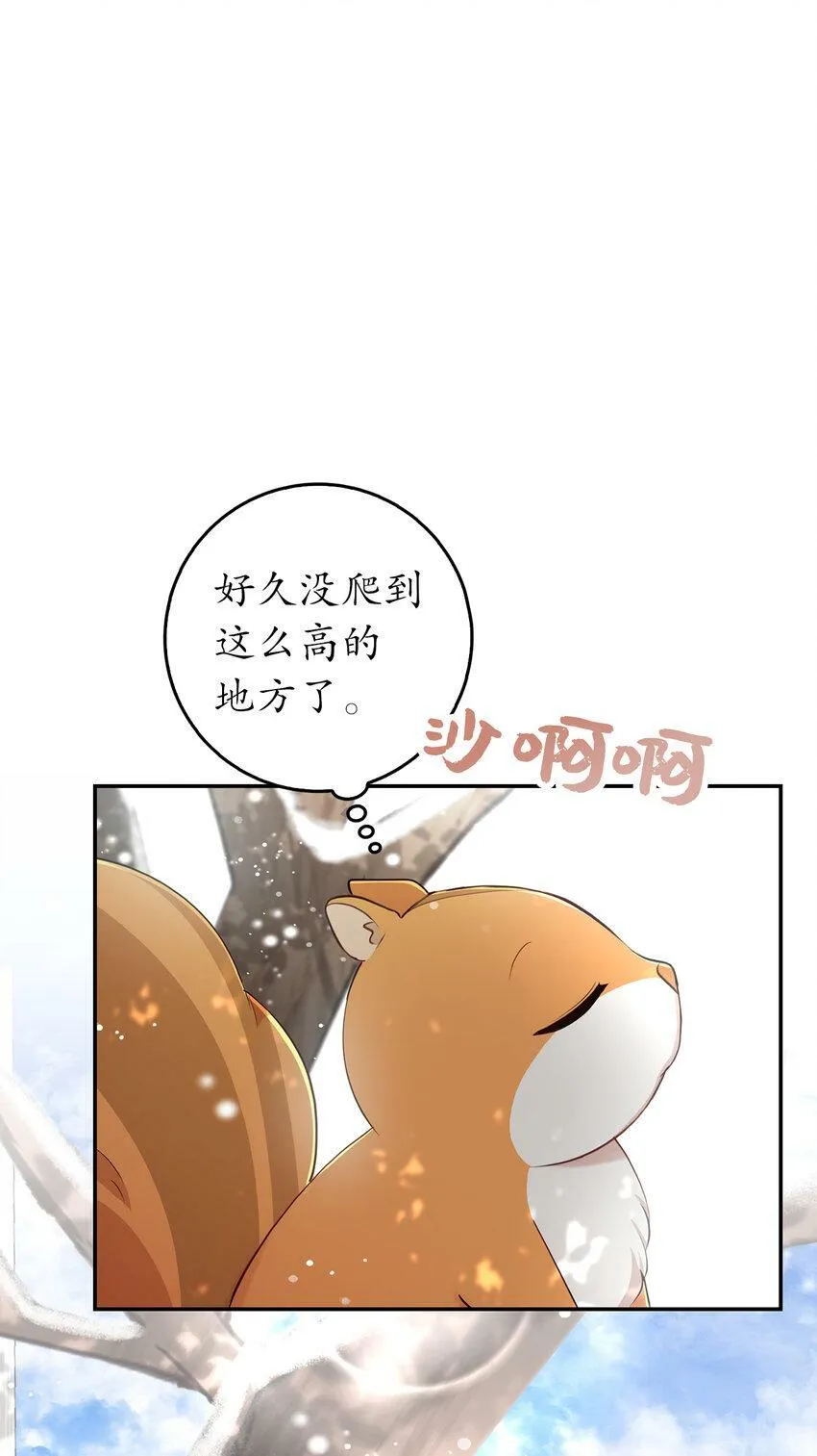 22 “甜蜜的祝福”43