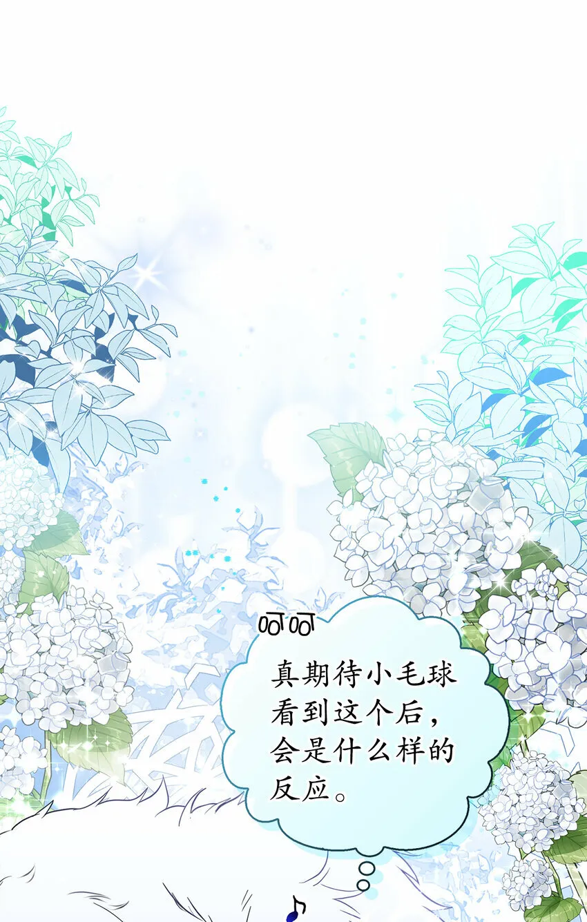13 星座大人降临13