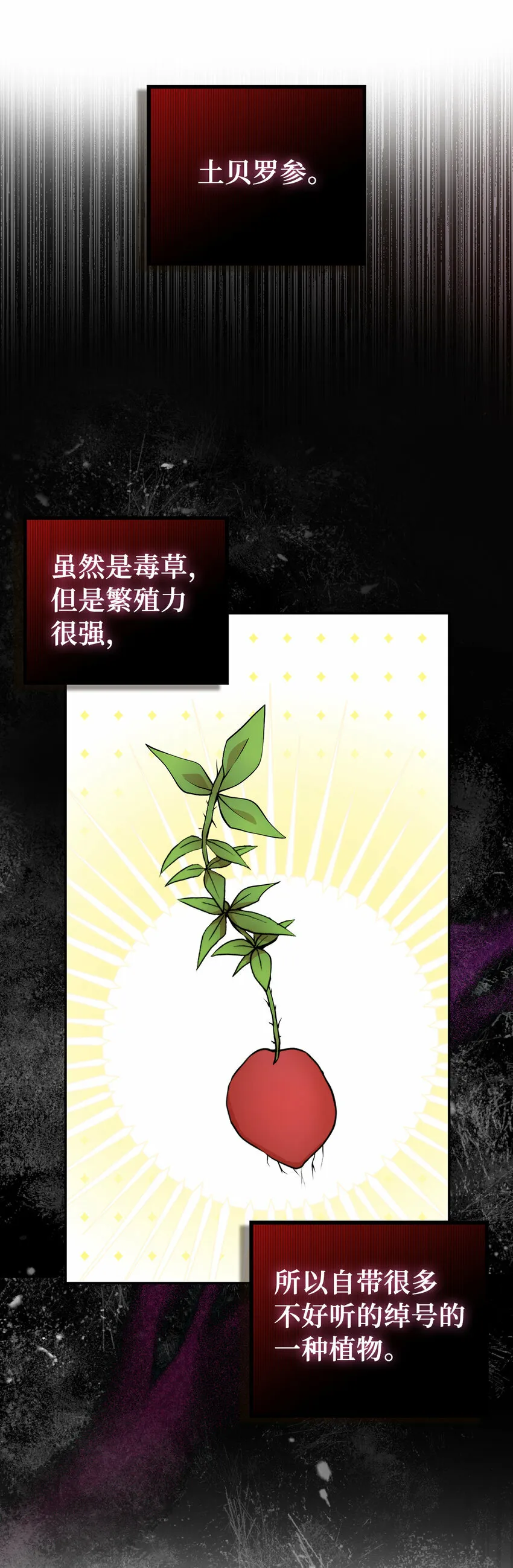 8 奇迹植物42