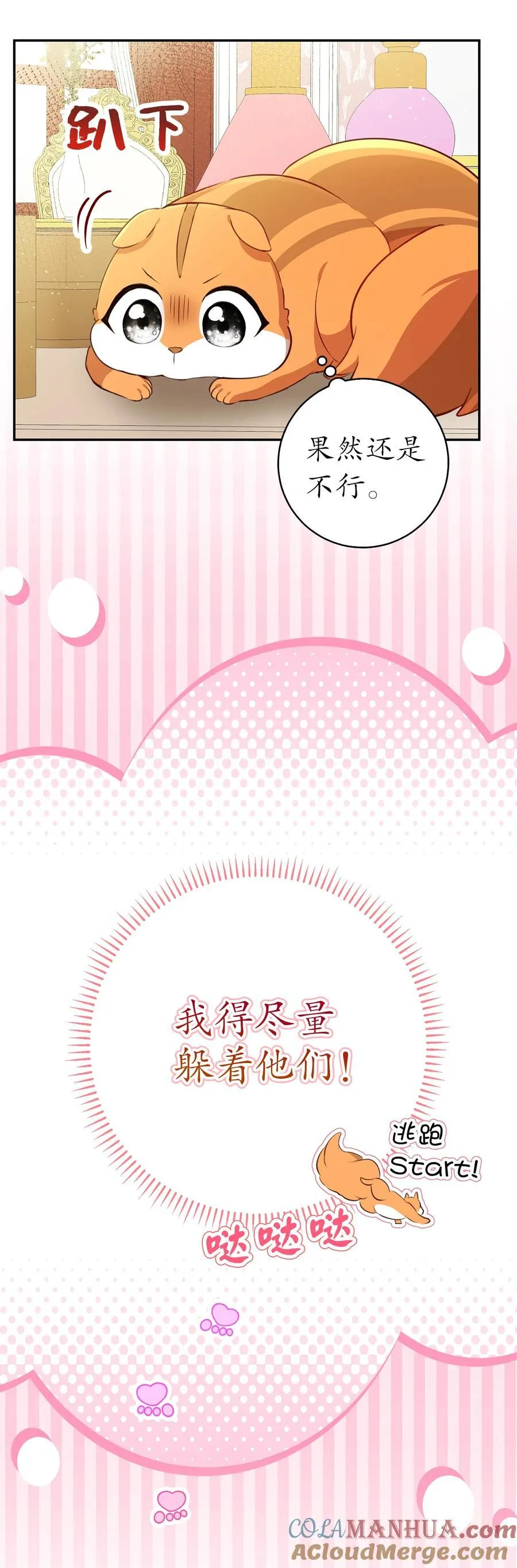 52 小松鼠的小秘密33