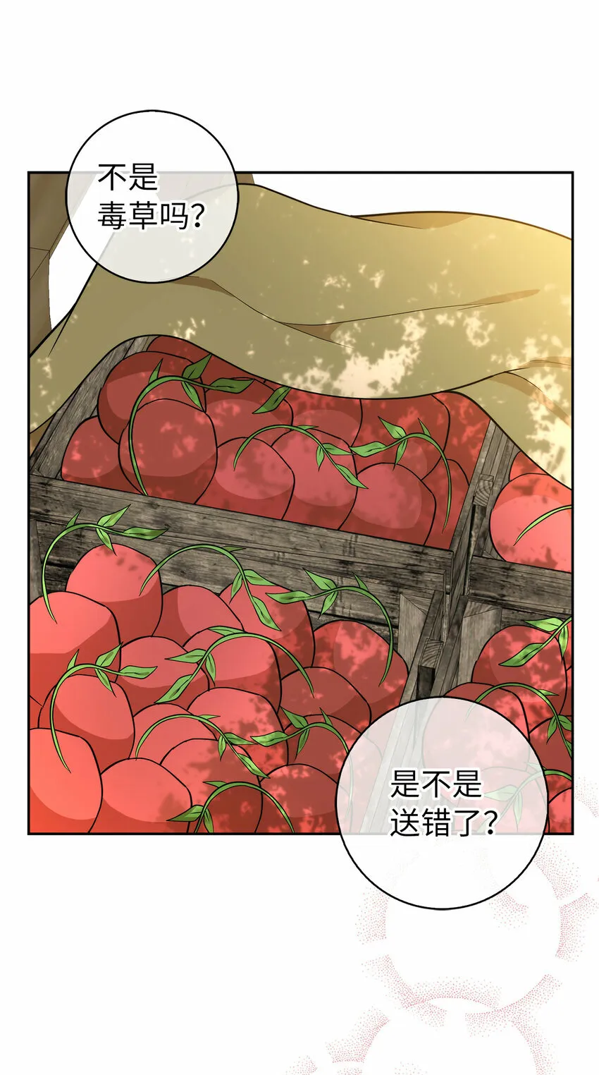 9 小松鼠的锦囊妙计44