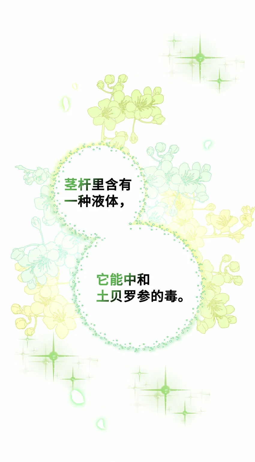 9 小松鼠的锦囊妙计15