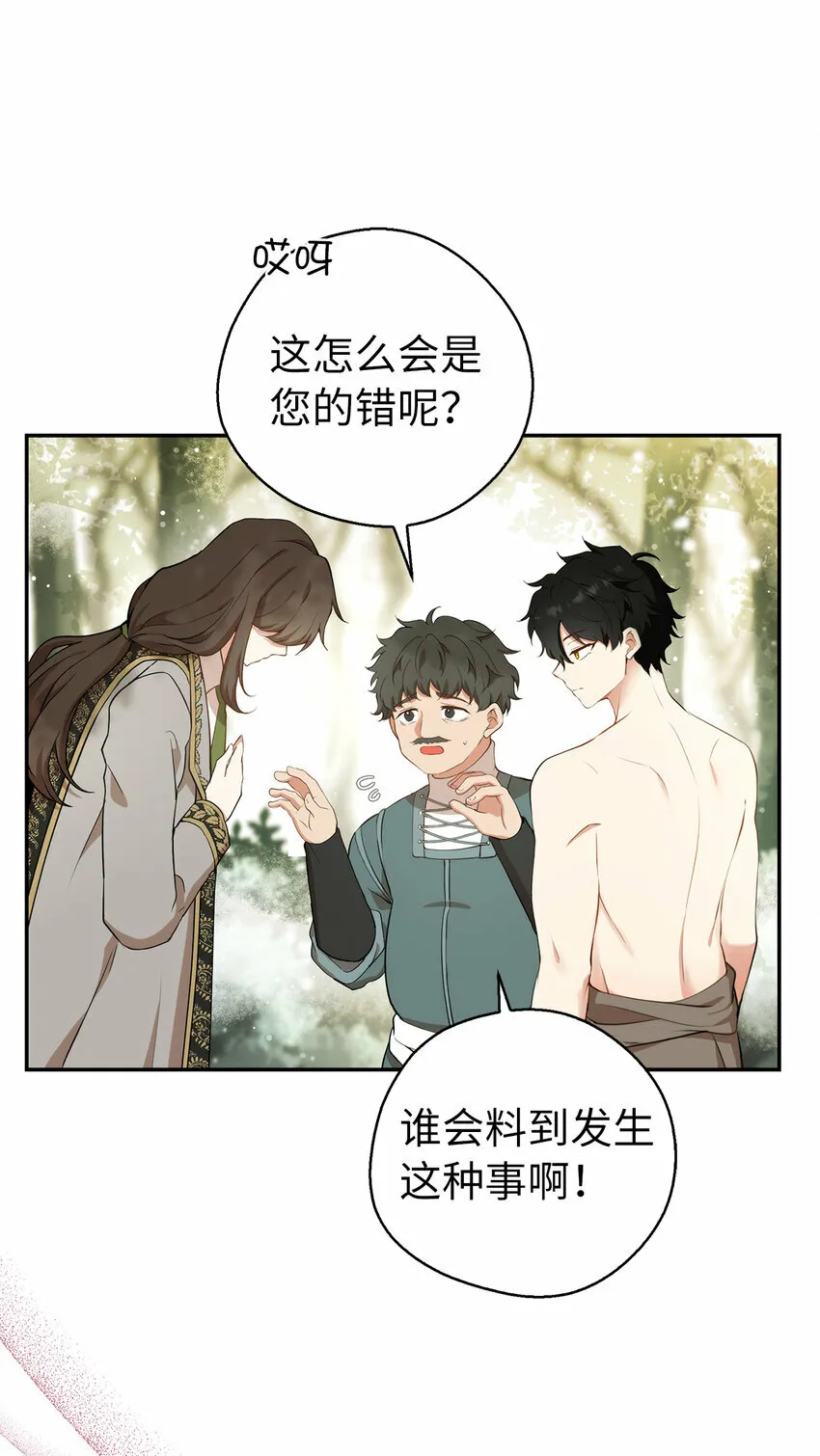 8 奇迹植物28