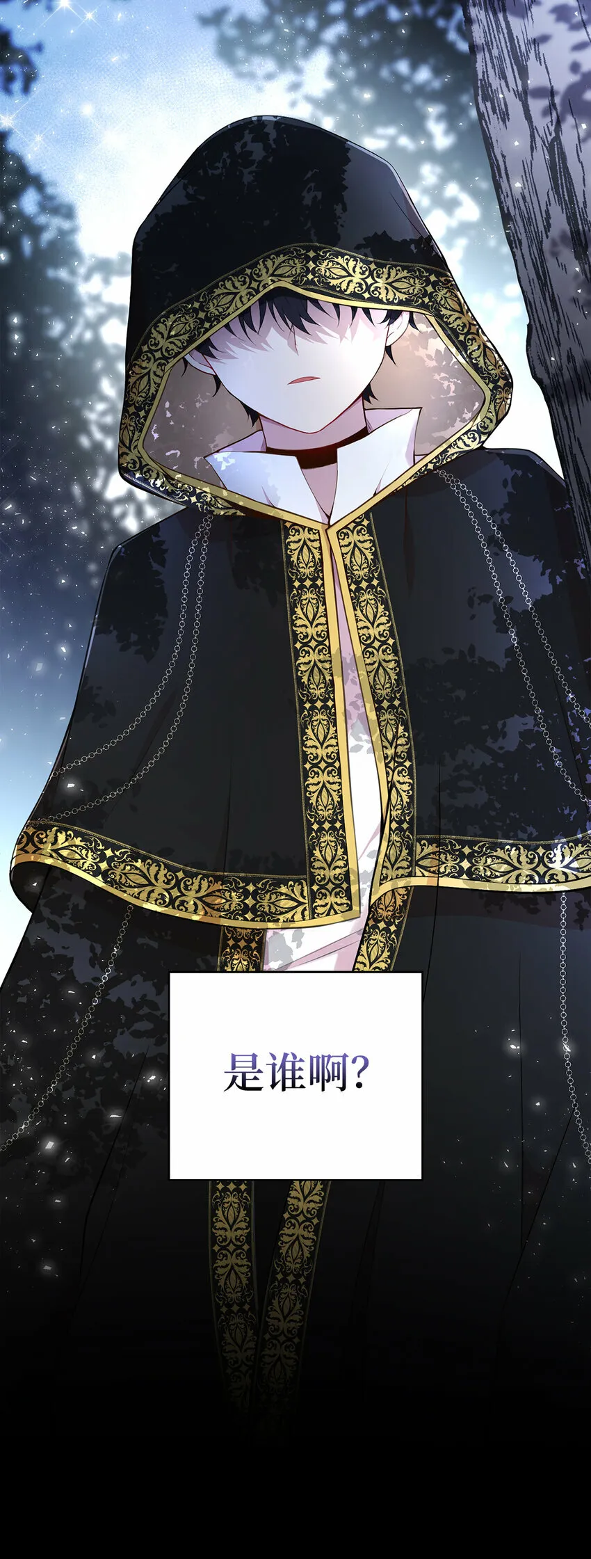 13 星座大人降临61