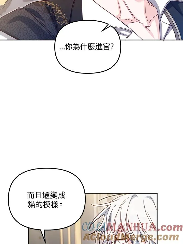第38话48