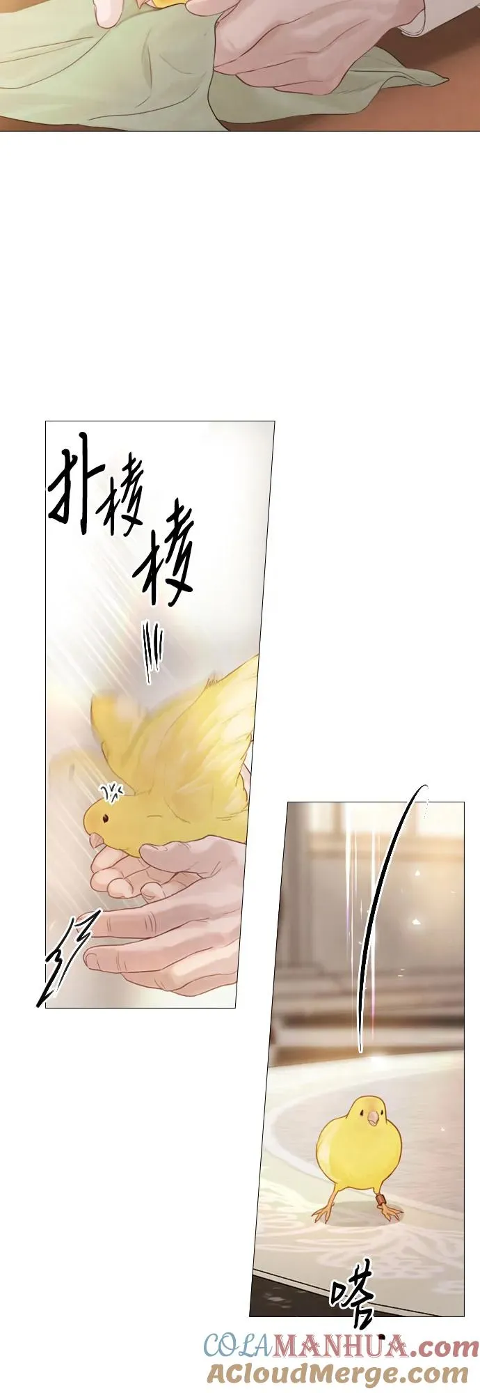 第11话42