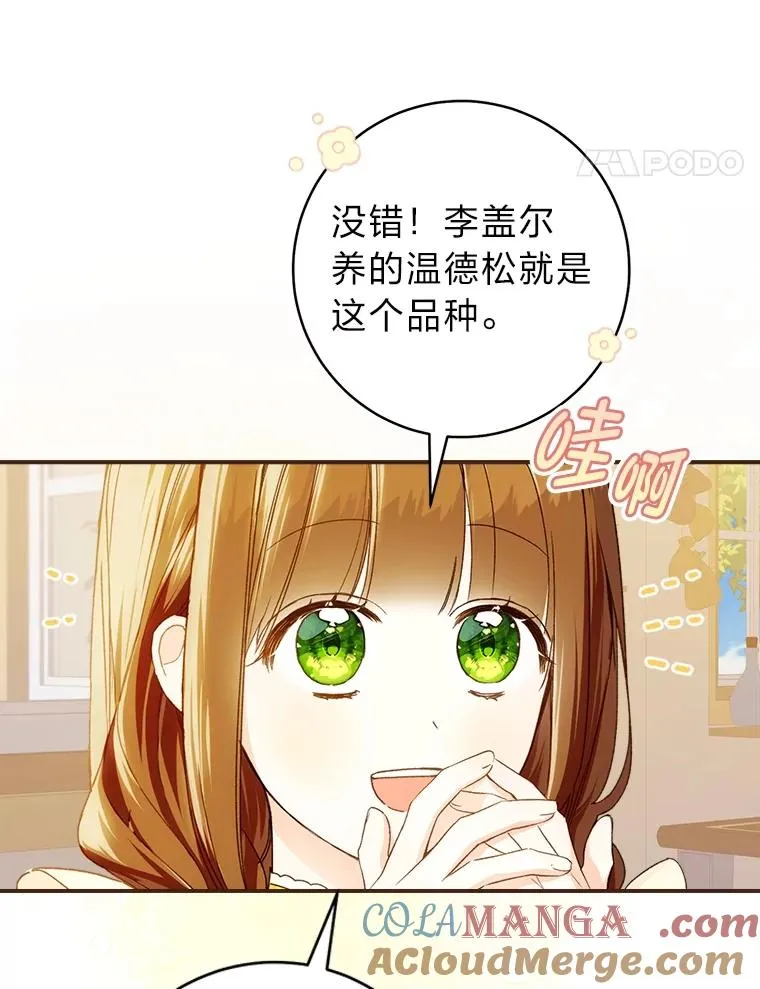 71.贤者的谜题60
