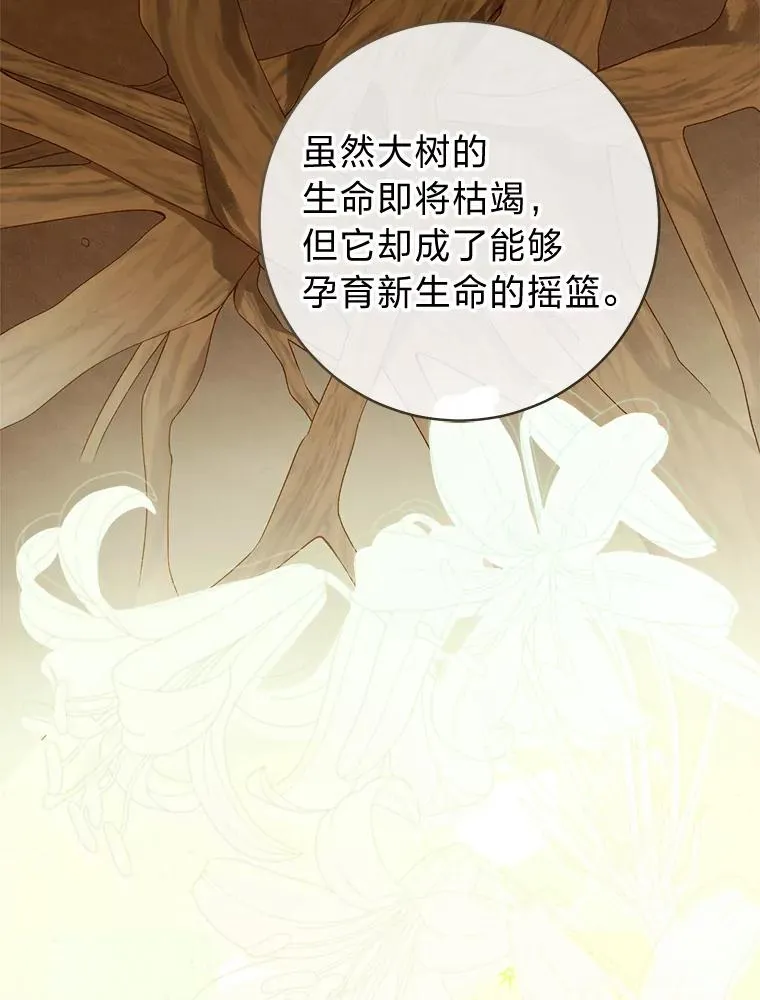 76.诺乌蛋（本季完）94
