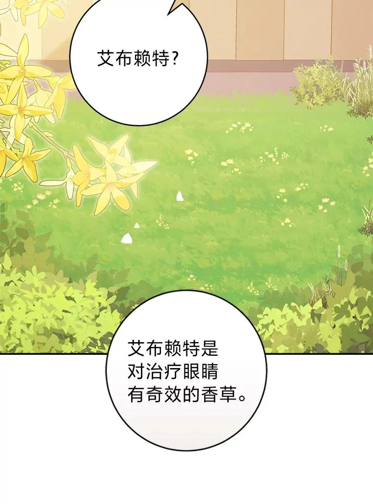 71.贤者的谜题29