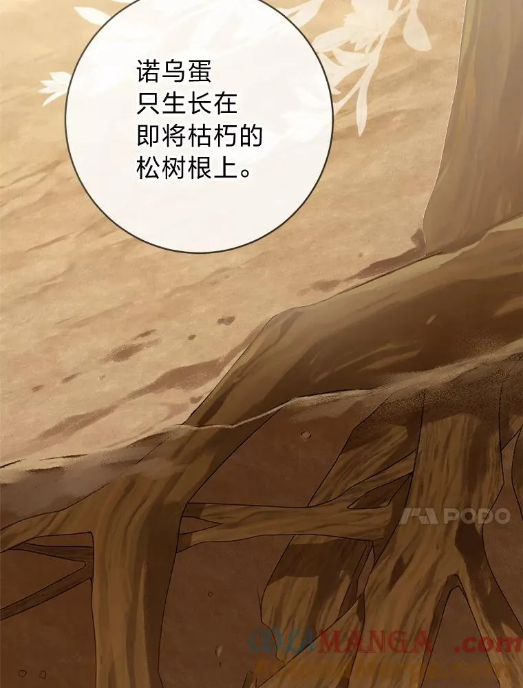 76.诺乌蛋（本季完）93