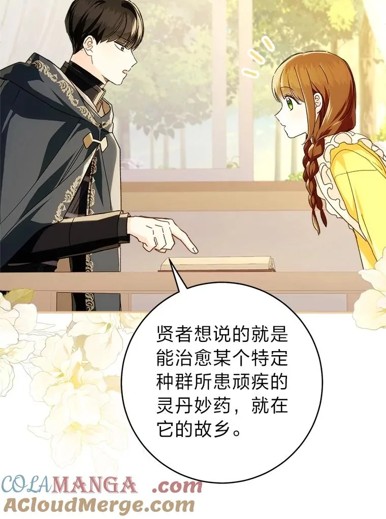 71.贤者的谜题52