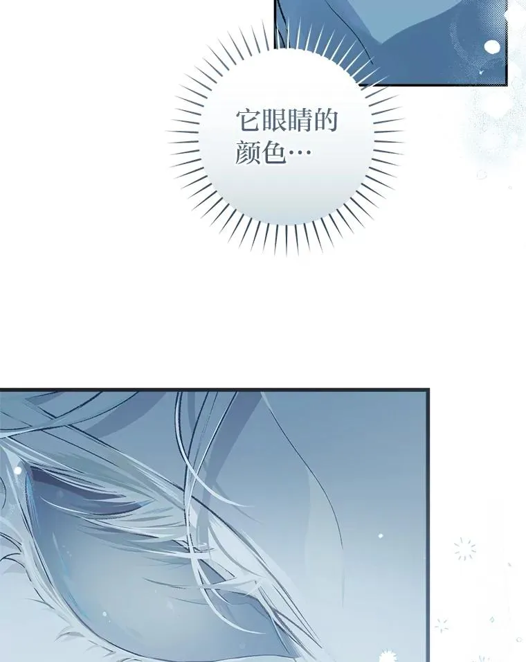 69.月盲症7