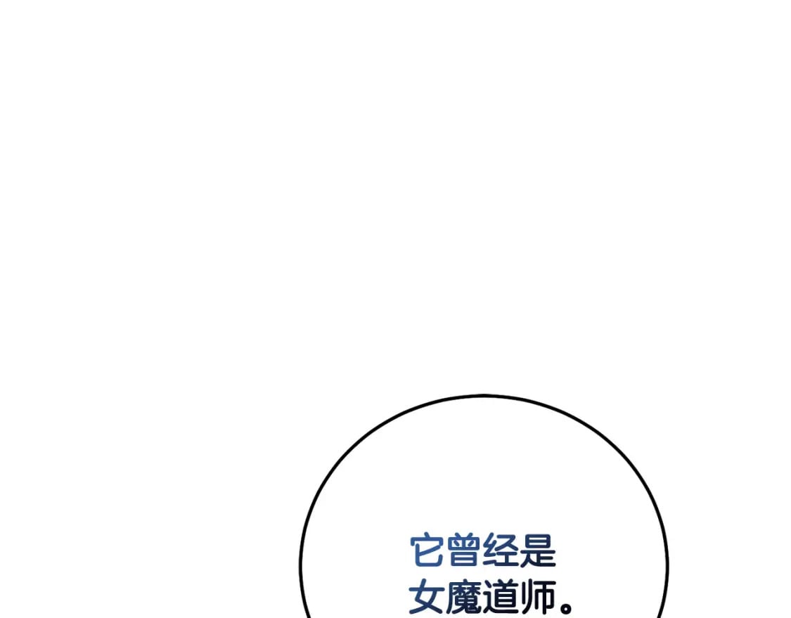 第71话 哥哥要背叛家族？111