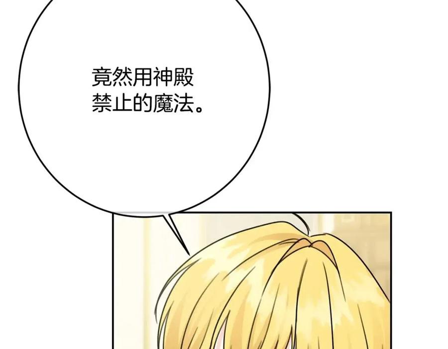 第26话 禁忌魔法126