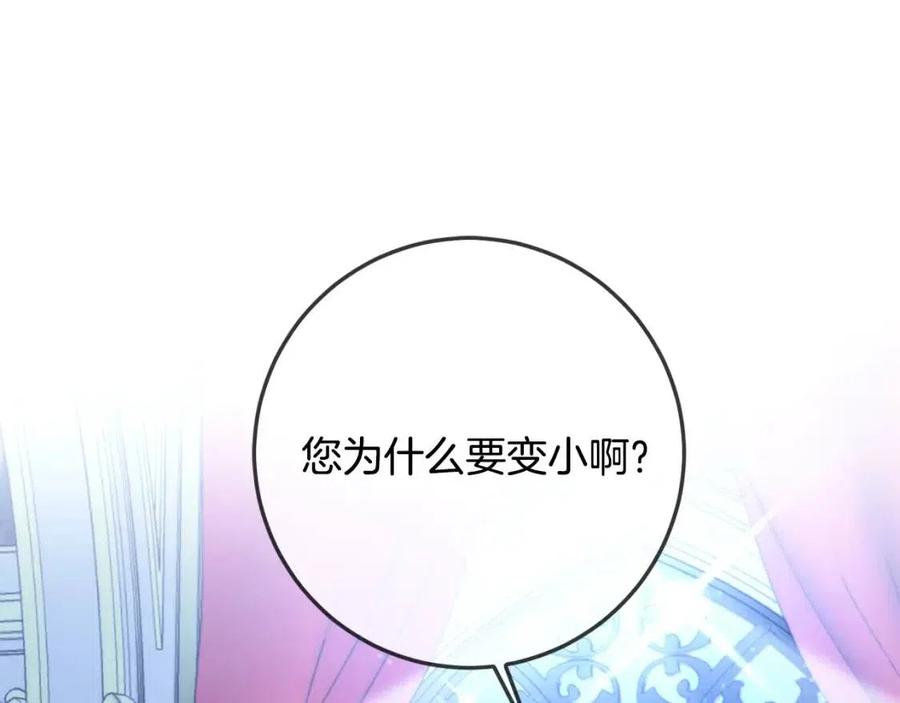 第36话 大公变小了？176