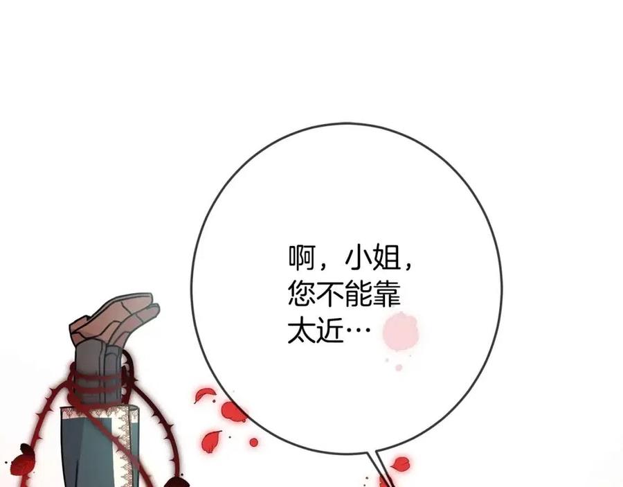 第26话 禁忌魔法178