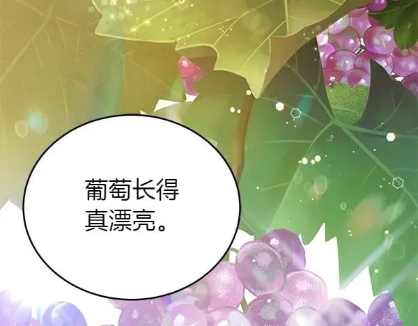 第114话 嘱咐185