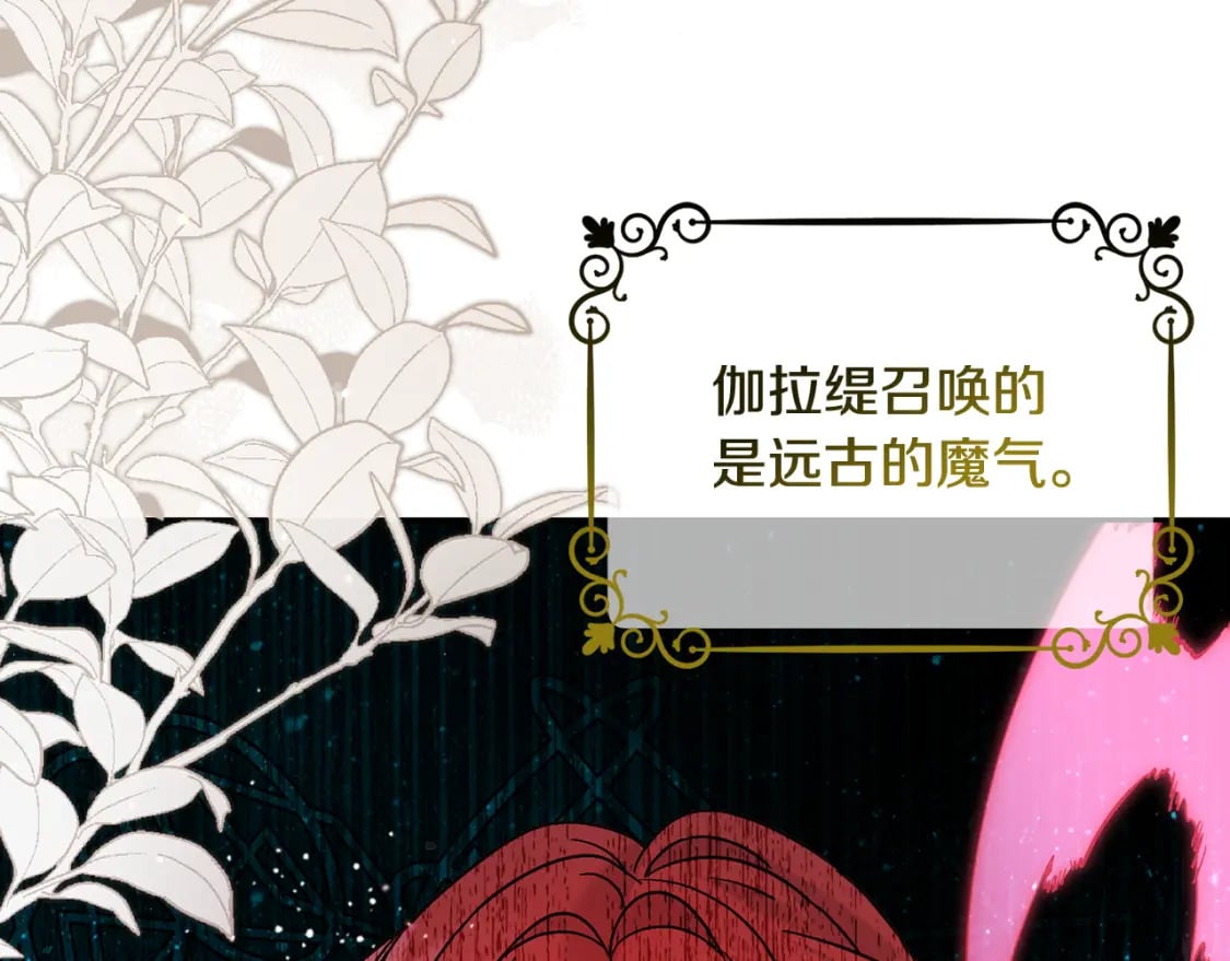 第71话 哥哥要背叛家族？132