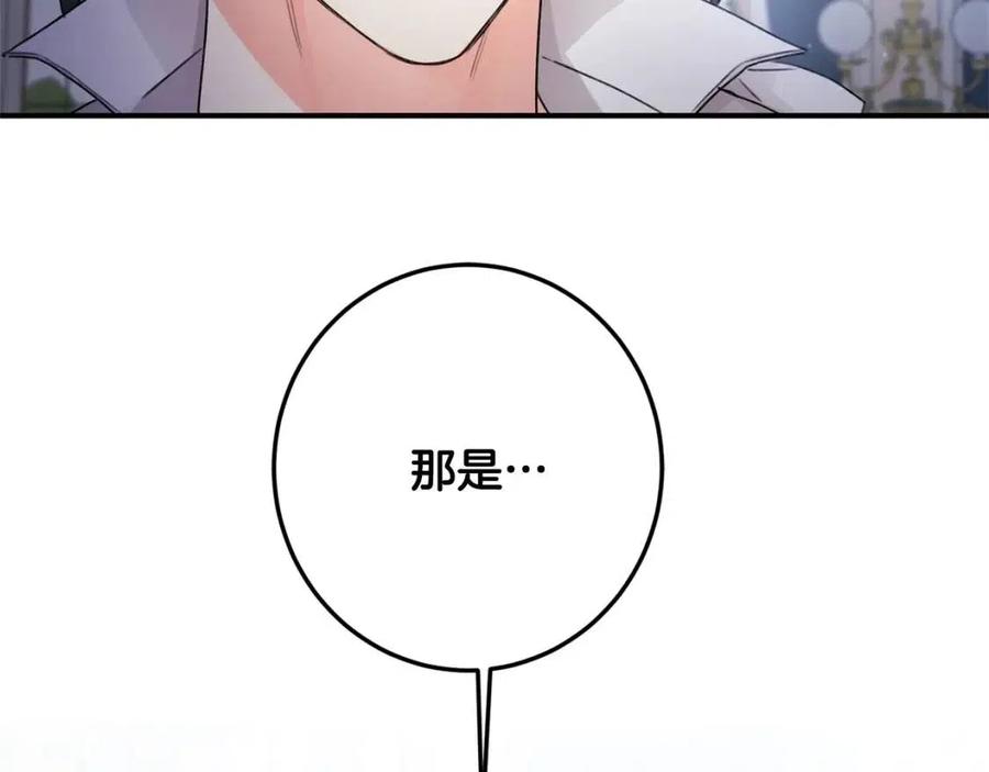 第33话 好消息156