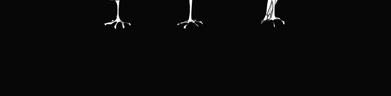 第78话 Need Me59