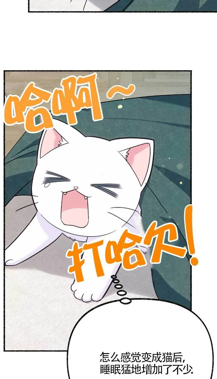 第05话28
