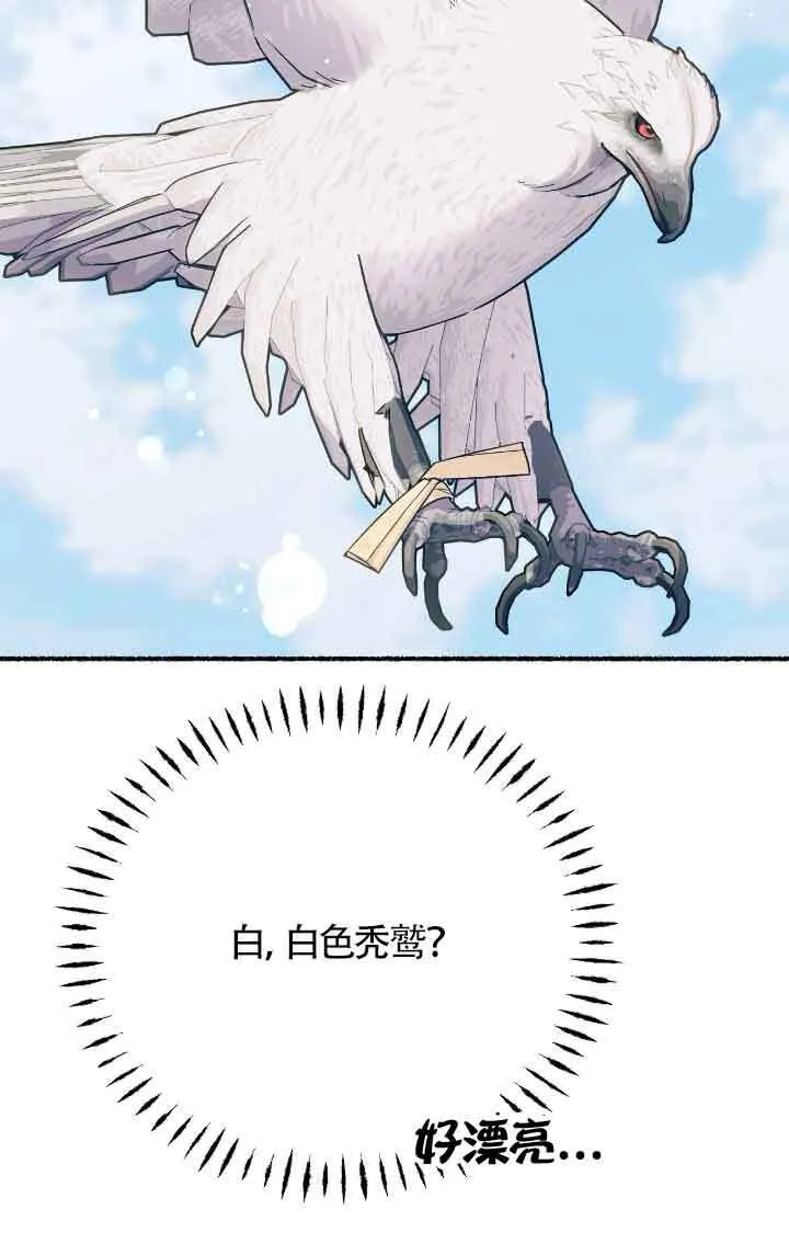 第09话13