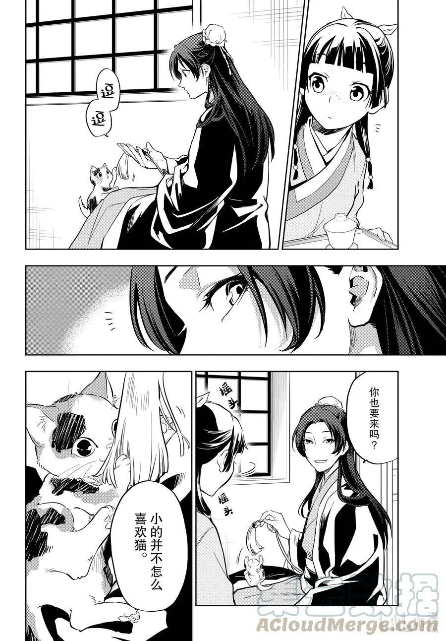 42.5 猫（后篇）8