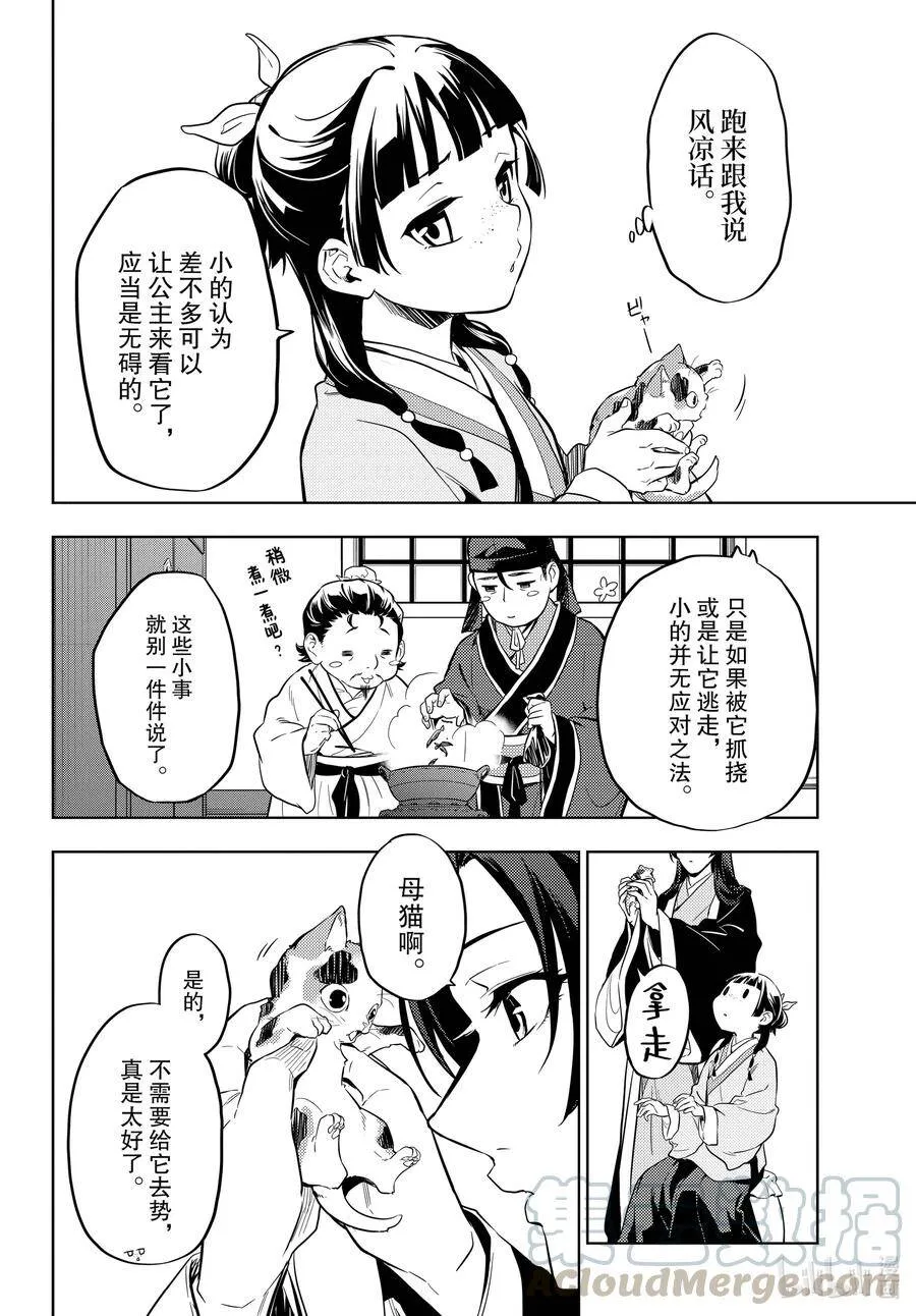42.5 猫（后篇）6